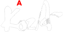 オキナワAサインバーKOZA（コザ）