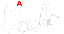 オキナワAサインバーKOZA（コザ）